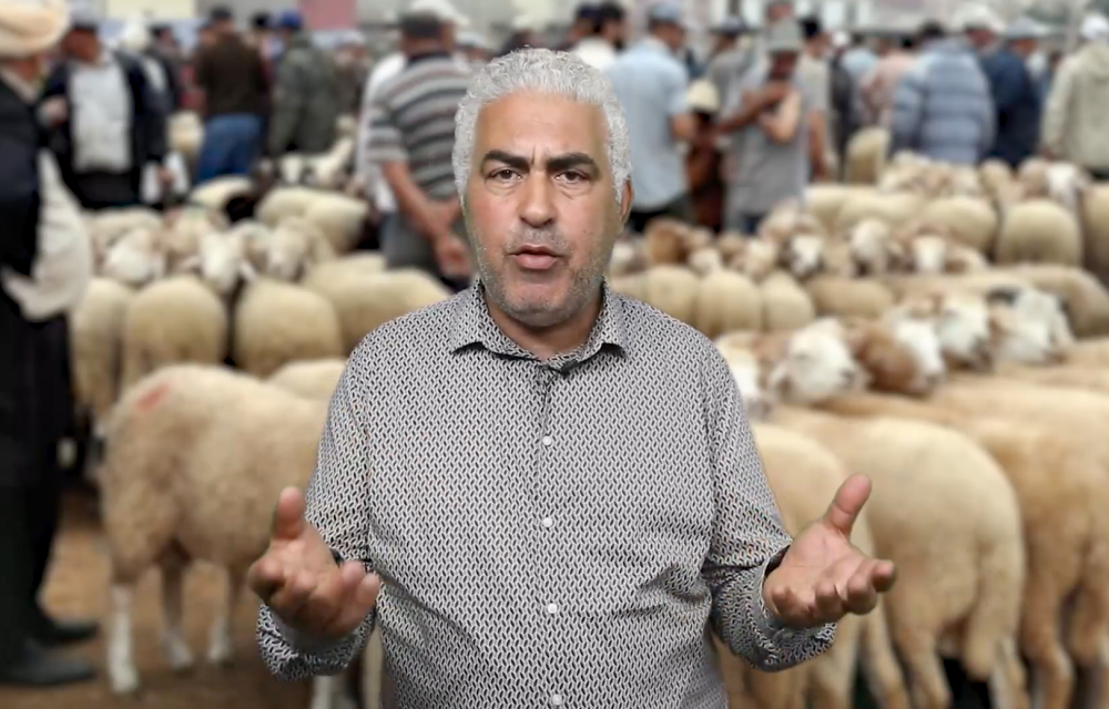 نرشدك يا فلاح.. نصائح هامة بخصوص العيد الكبير