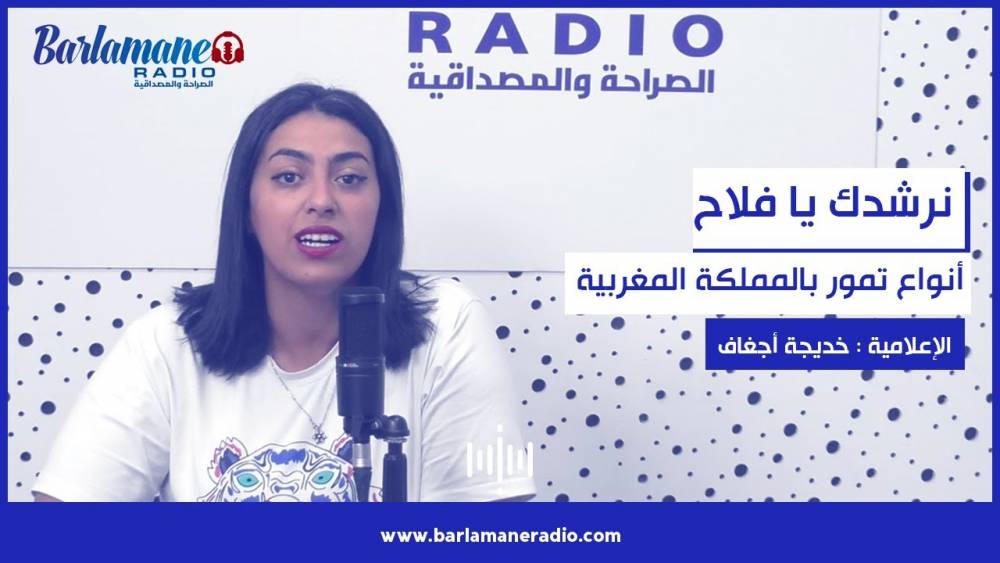 أخطاء كنجهلوها.. بعض الأخطاء الشائعة أثناء القيادة