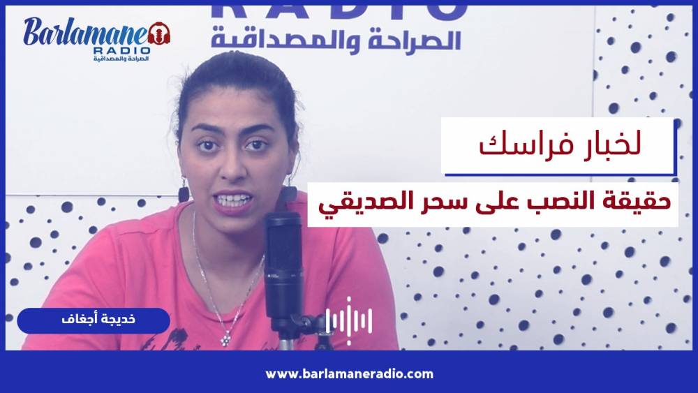 نرشدك يا فلاح.. ملاحظات وتوجيهات لنجاح زراعة الزيتون