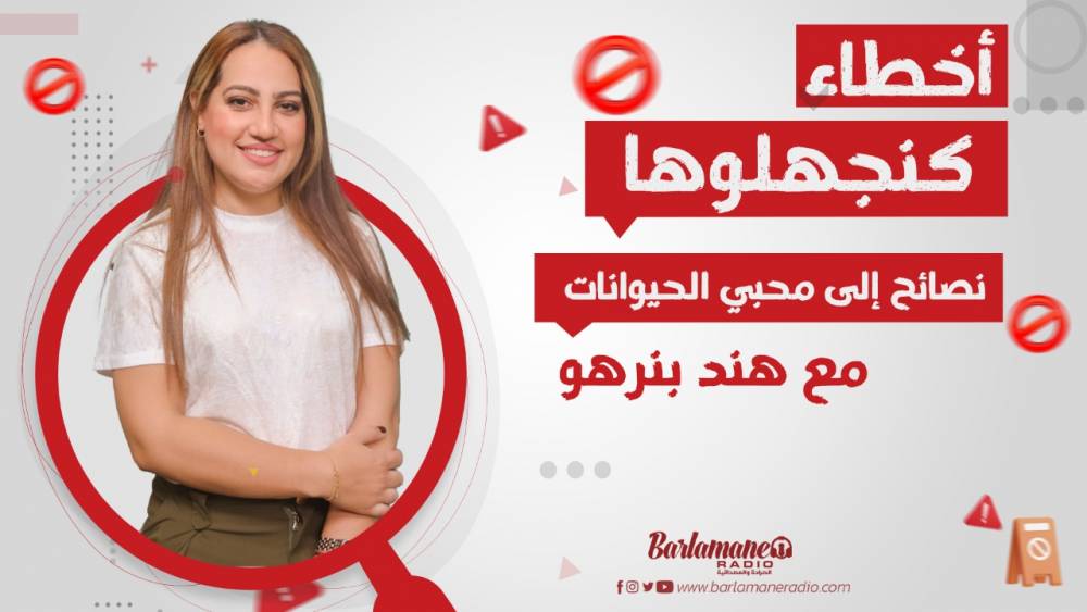 نرشدك يافلاح.. زراعة الخيار