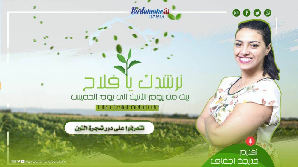 نرشدك يا فلاح..الممارسات الجيدة في فترة الأزهار عند شجرة التفاح