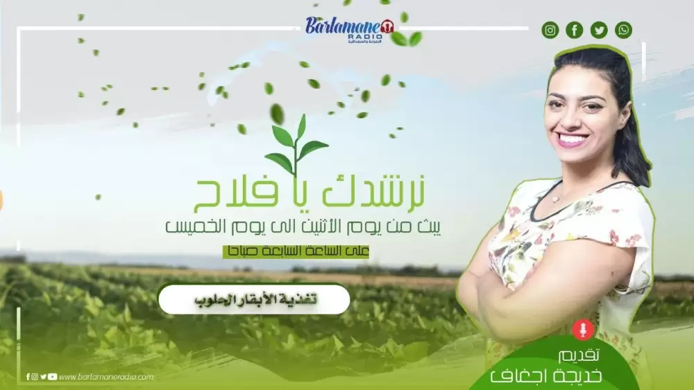 هذا هو أنت.. خروج غير مسبوق لبوجو: الأدوار البطولية تعطى لم لا يستحقها/ ومعندناش صناعة سينمائية