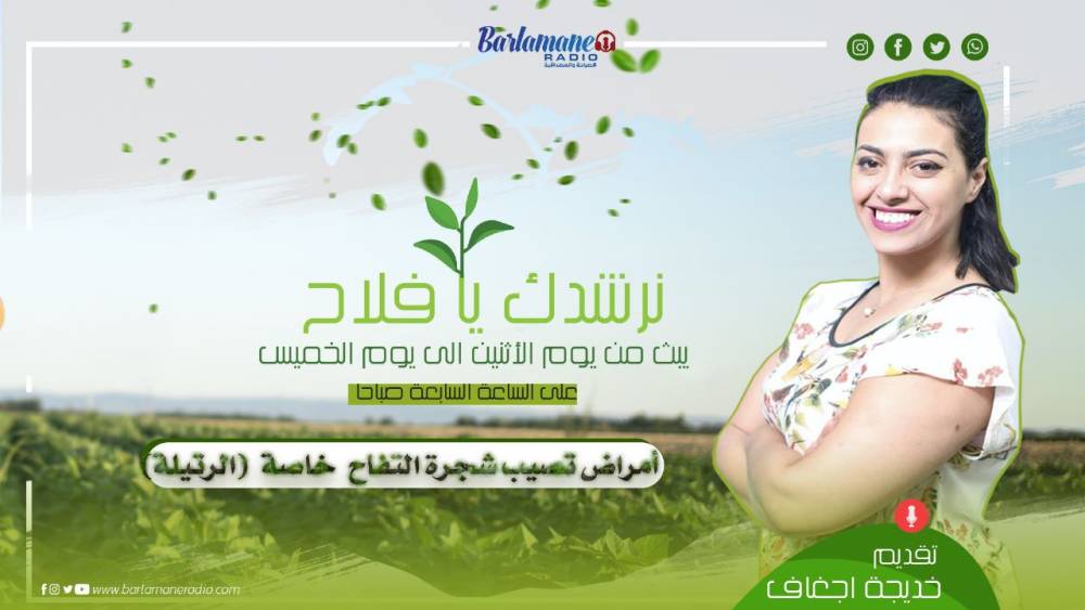 نرشدك يا فلاح.. تأثير نقص عنصر الآزوت