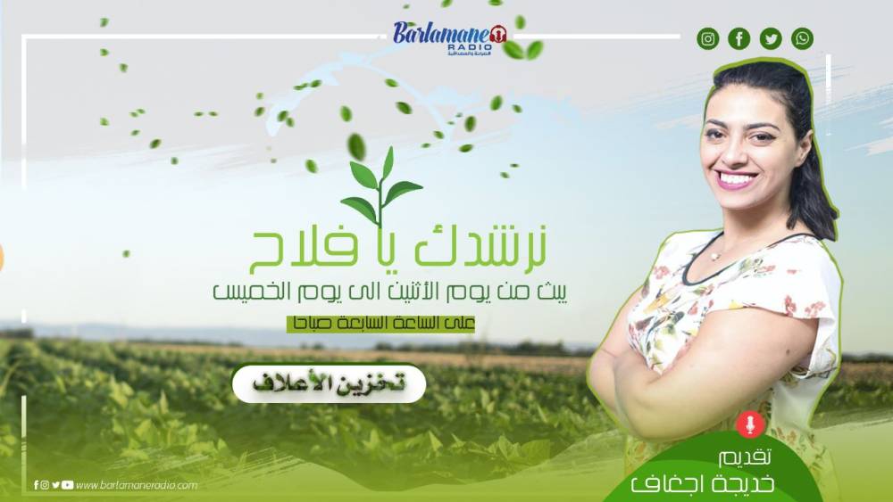 فين كاين المشكل؟.. وزراء مختفون خائفون لا يتكلمون ولا يجيبون