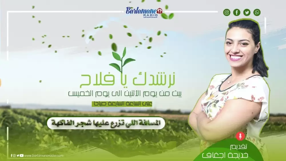 صحتك ناقشوها.. أنواع الجوع وعلاجه