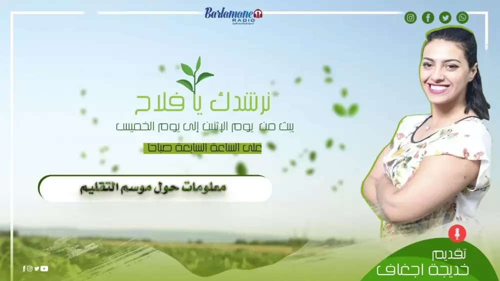 فنان مع عماد.. مصطفى مسكين/الفن الفوتوغرافي/الجوائز العالمية/الترويج لصورة المغرب