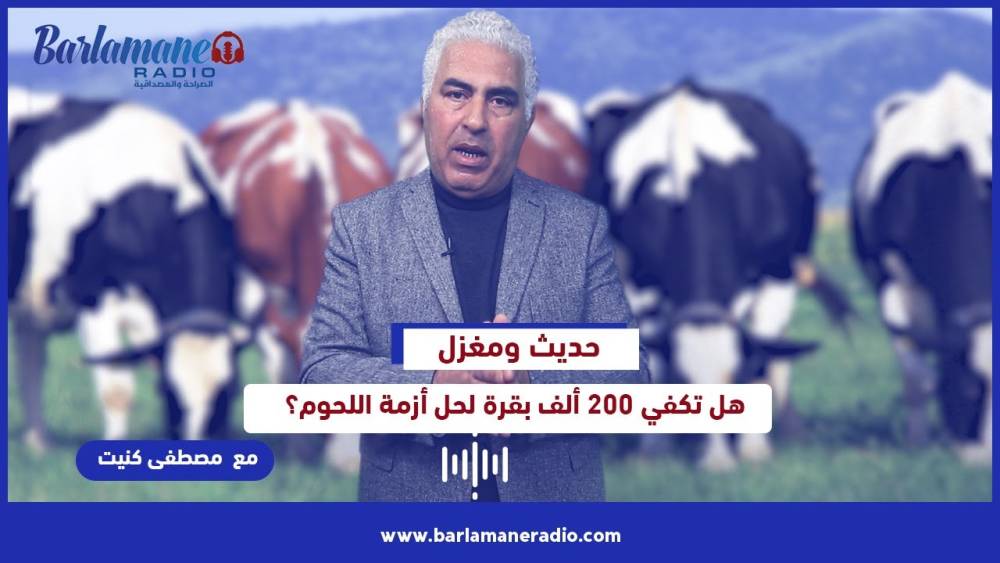 هذا هو أنت.. المخرج الجائع: المغاربة طلاونا وحنا لي كنشجعوهم/ السينما في المغرب مابغاتش تْكَعَّدْ
