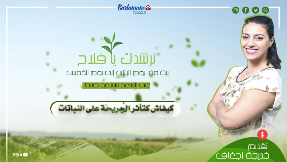 نرشدك يا فلاح.. ثقافة الموسم الفلاحي بالمغرب