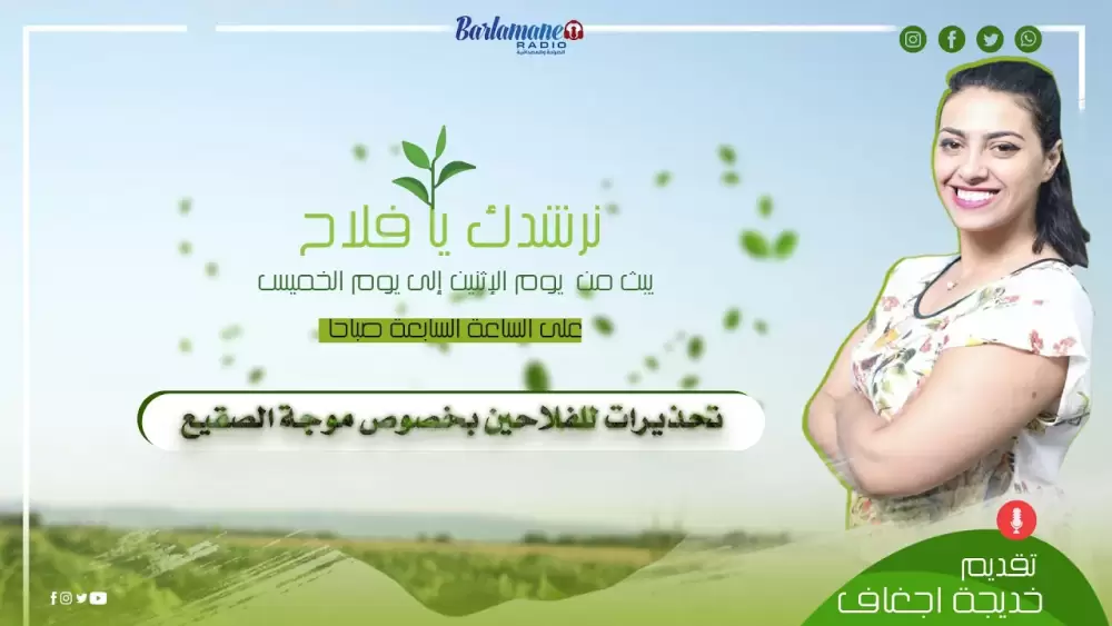 هذا هو أنت.. دعوة الملك لتعديل مدونة الأسرة استجابة لمطالب النساء/ التعويض عن المتعة تشييء للمرأة