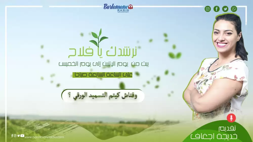 فين كاين المشكل؟.. تنظيم كأس العالم بالمغرب.. لكي لا نكرر الأخطاء السابقة
