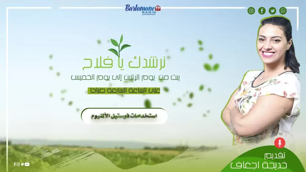 فين كاين المشكل؟.. تونس تطرد الأفارقة والمغرب يفتح الجامعات والمعاهد للطلبة الأفارقة