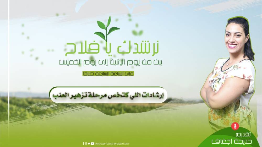 هذا هو أنت.. يونس الركاب: انتقد وطنك أو الإسلام في عمل سينمائي.. غايتقبل في المهرجانات الدولية
