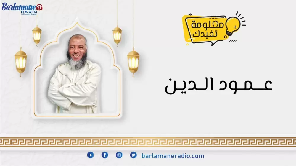 نرشدك يا فلاح.. كيفاش نحميو الزرع من الذبانة البيضا