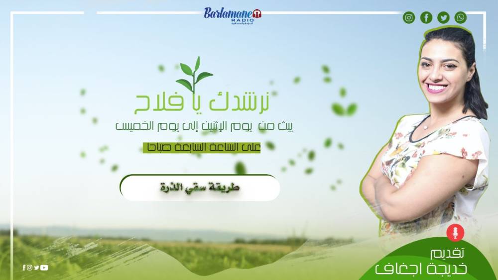 نرشدك يا فلاح ... طريقة الزراعة بالتنقيط