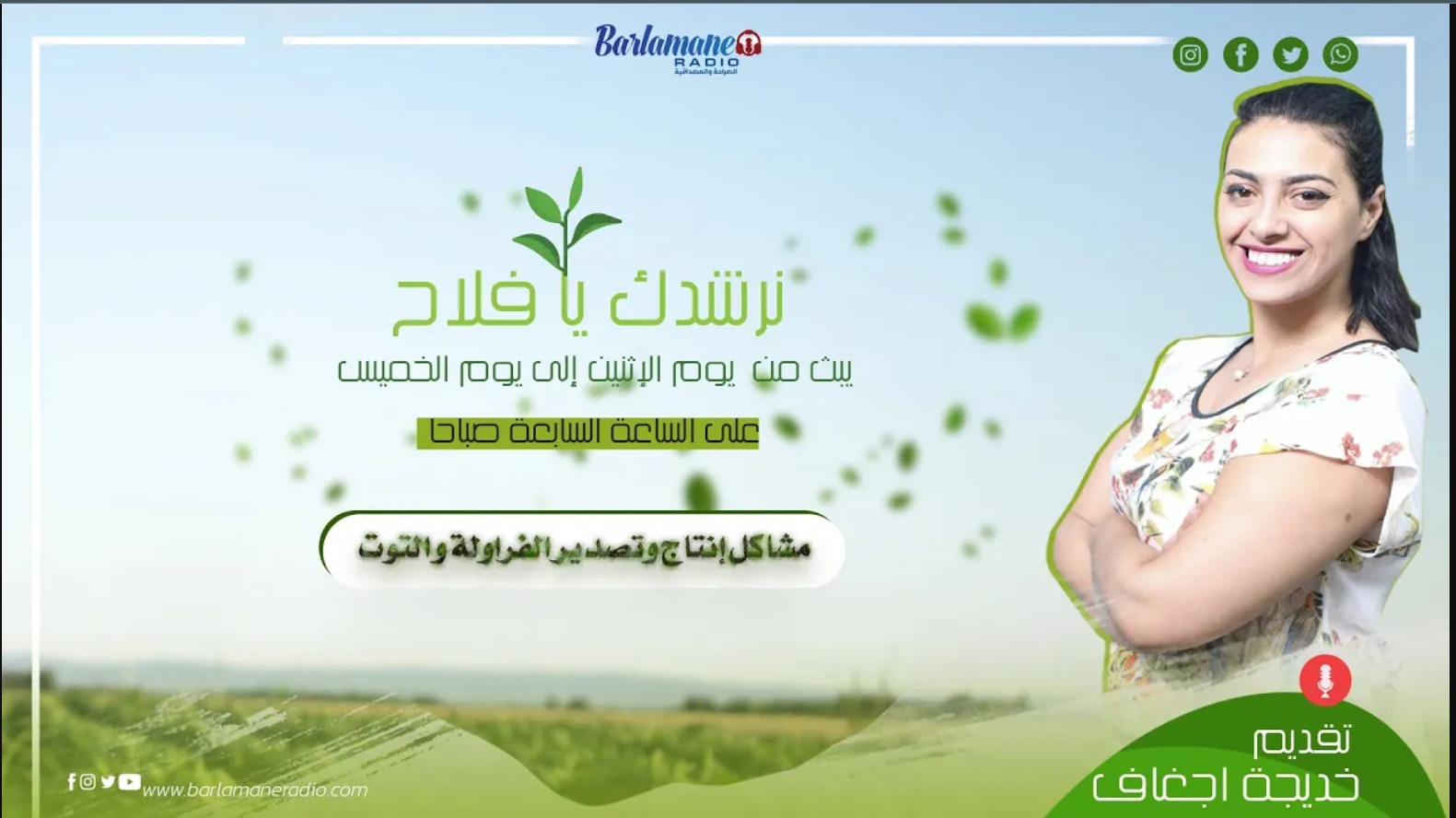 نرشدك يافلاح ... مشاكل إنتاج وتصدير الفراولة والتوت