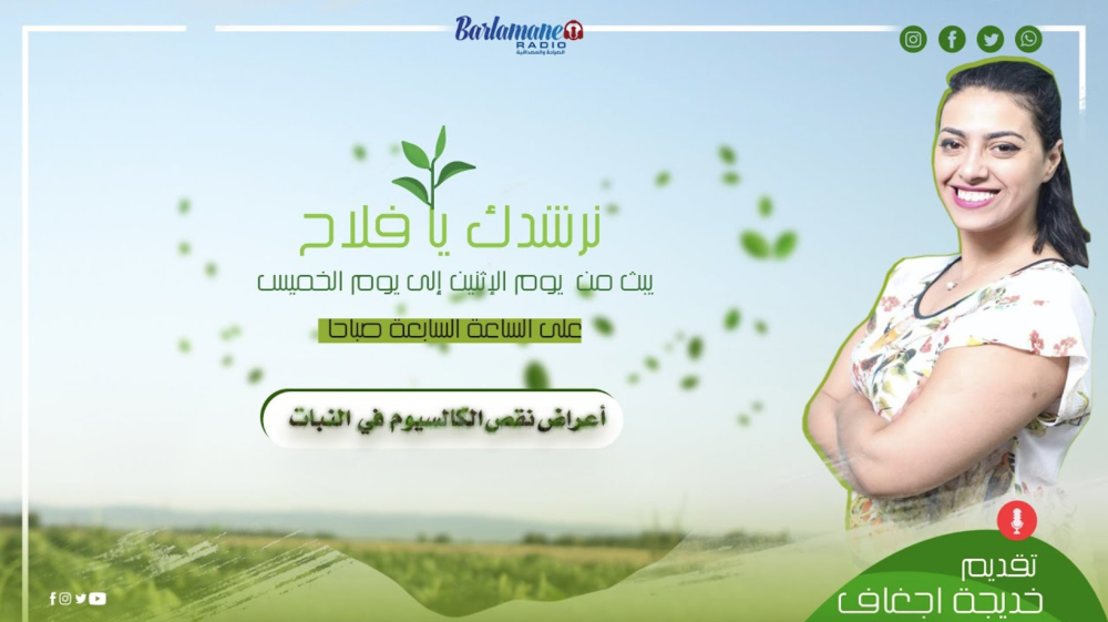 نرشدك يافلاح ... أسباب نقص الكالسيوم في النبات