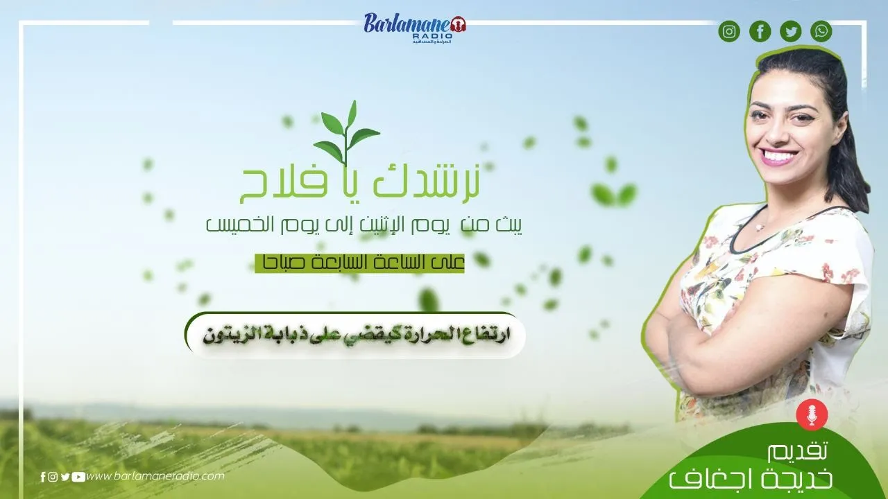 نرشدك يا فلاح.. ارتفاع الحرارة كيقضي على ذبابة الزيتون