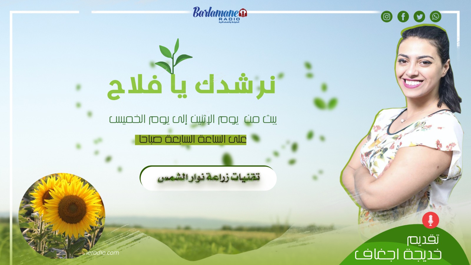 نرشدك يا فلاح..تقنيات زراعة نوار الشمس