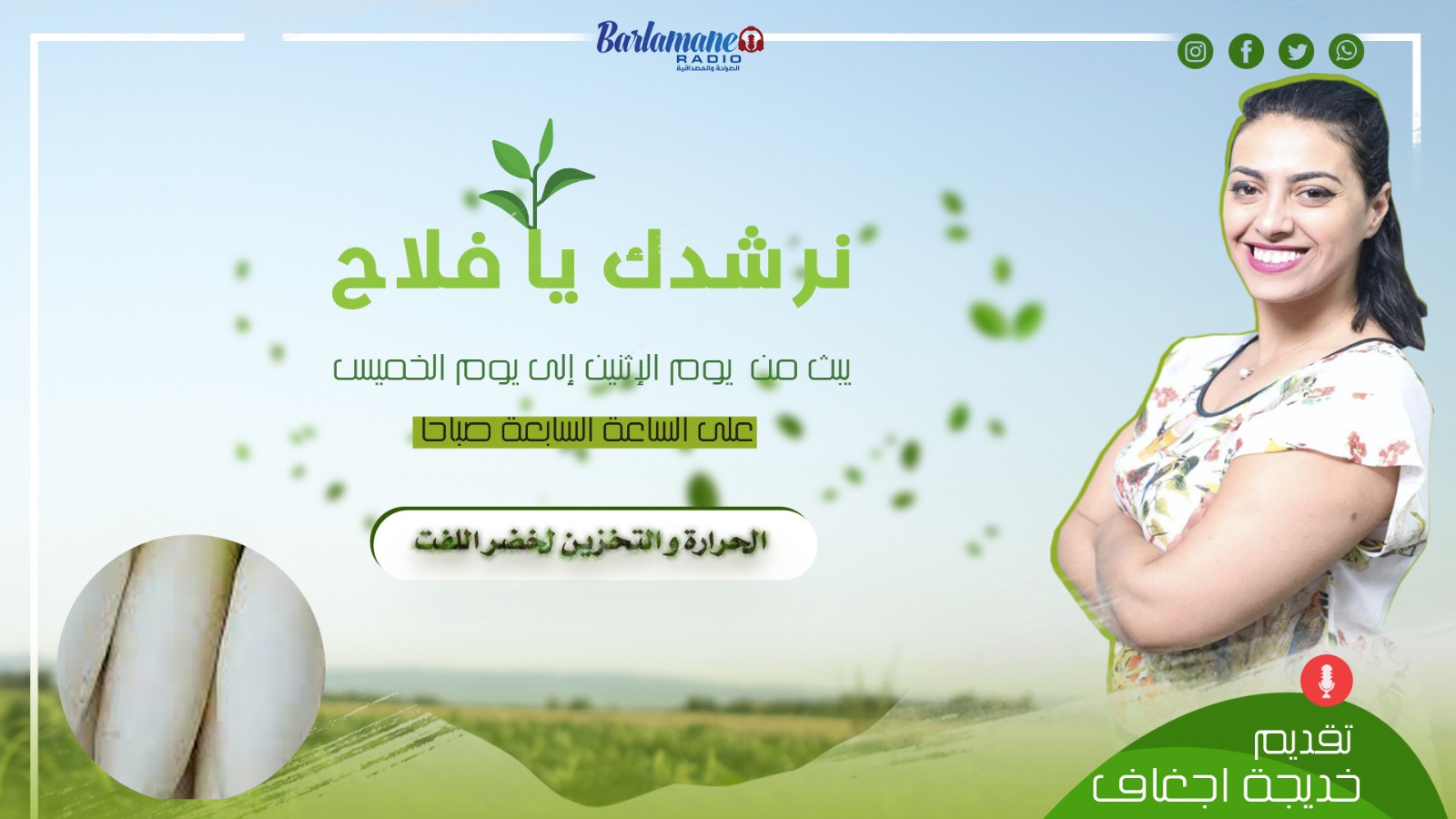 نرشدك يا فلاح.. الحرارة والتخزين لخضر اللفت