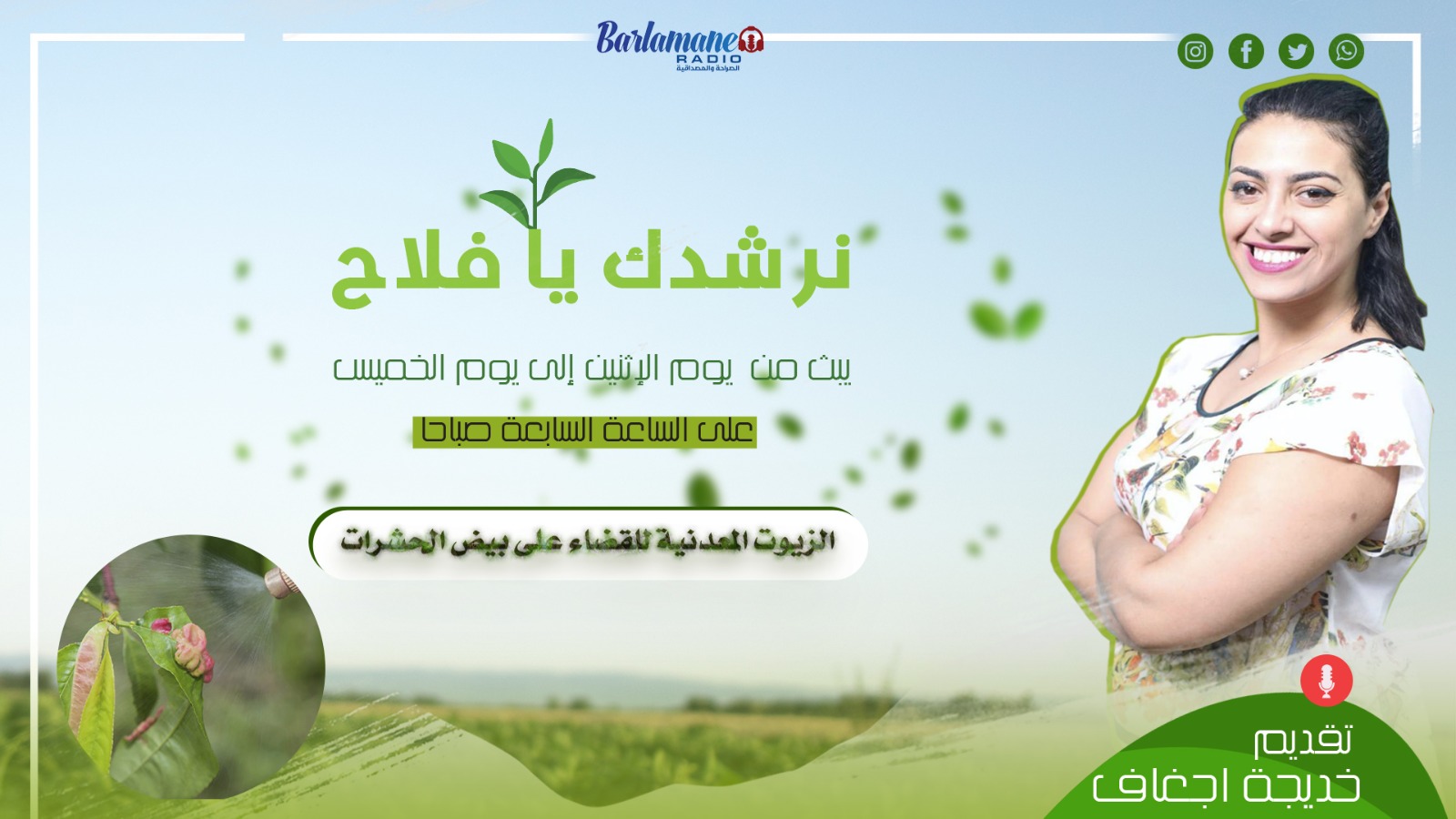 نرشدك يا فلاح .. الزيوت المعدنية للقضاء على بيض الحشرات