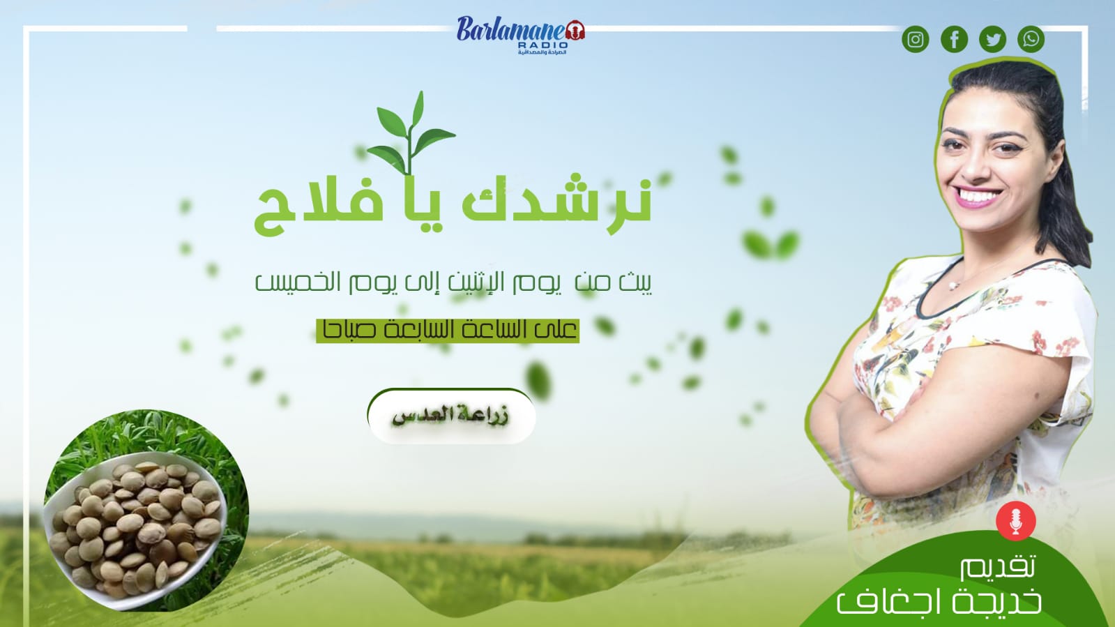 نرشدك يا فلاح.. زراعة العدس