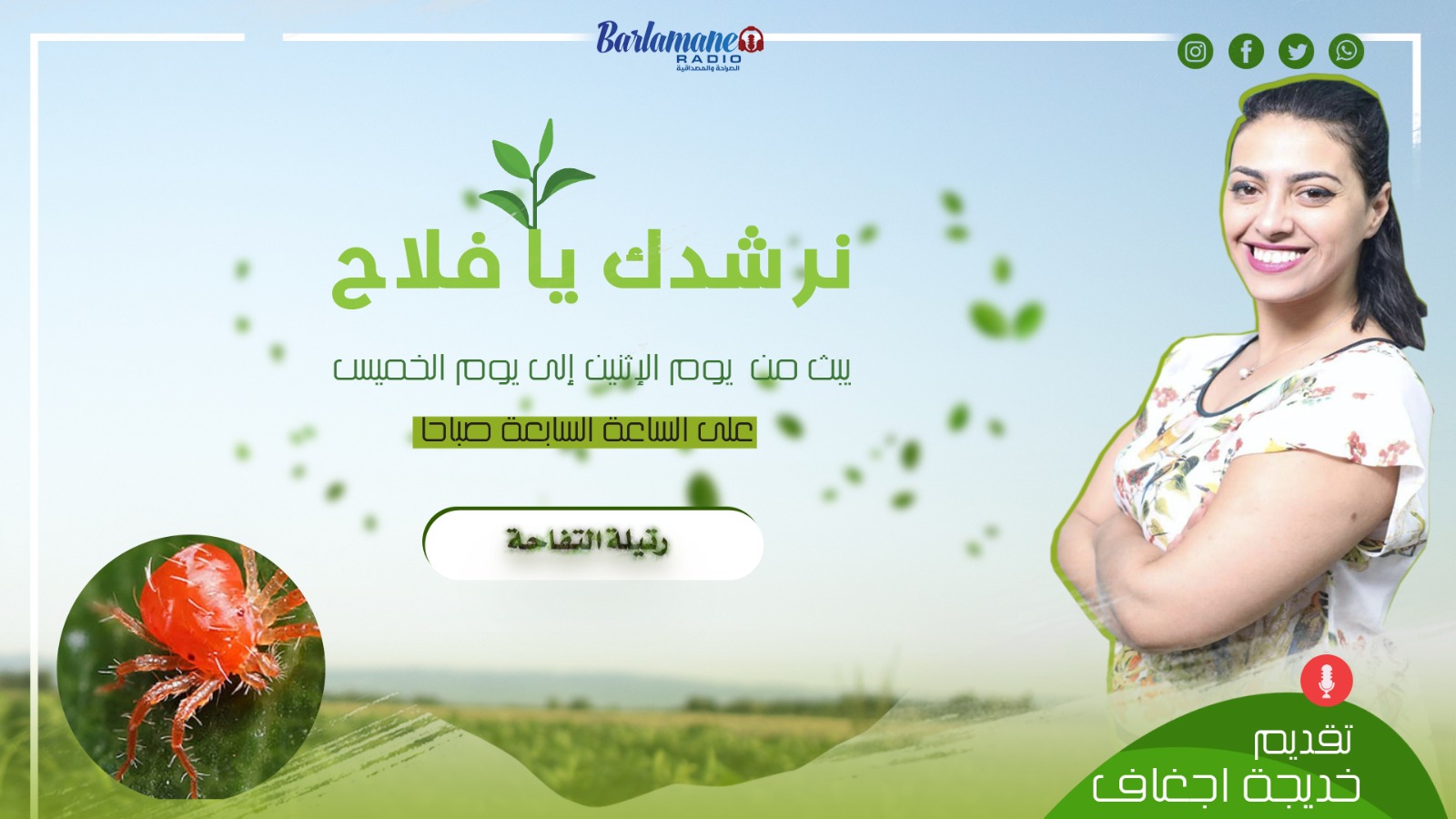 نرشدك يا فلاح ... رتيلة التفاحة