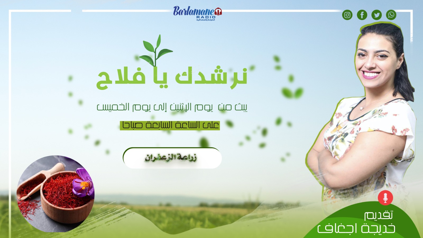 نرشدك يا فلاح.. زراعة الزعفران