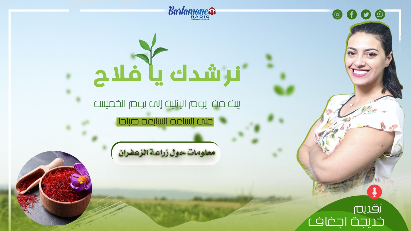 نرشدك يا فلاح.. معلومات حول زراعة الزعفران