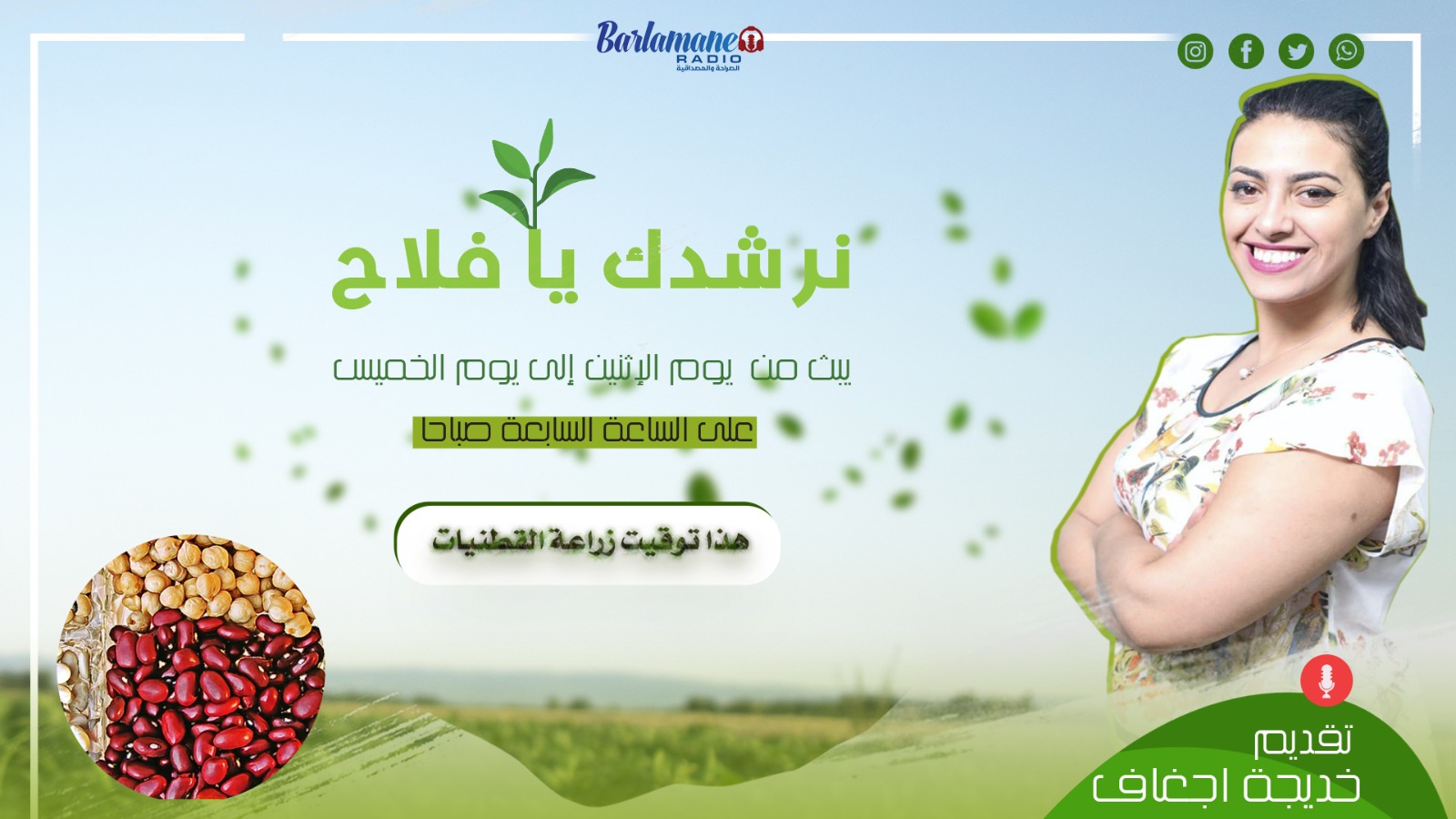 نرشدك يا فلاح .. هذا توقيت زراعة القطنيات