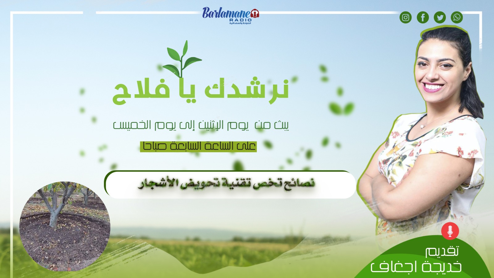 نرشدك يا فلاح ... نصائح تخص تقنية تحويض الأشجار