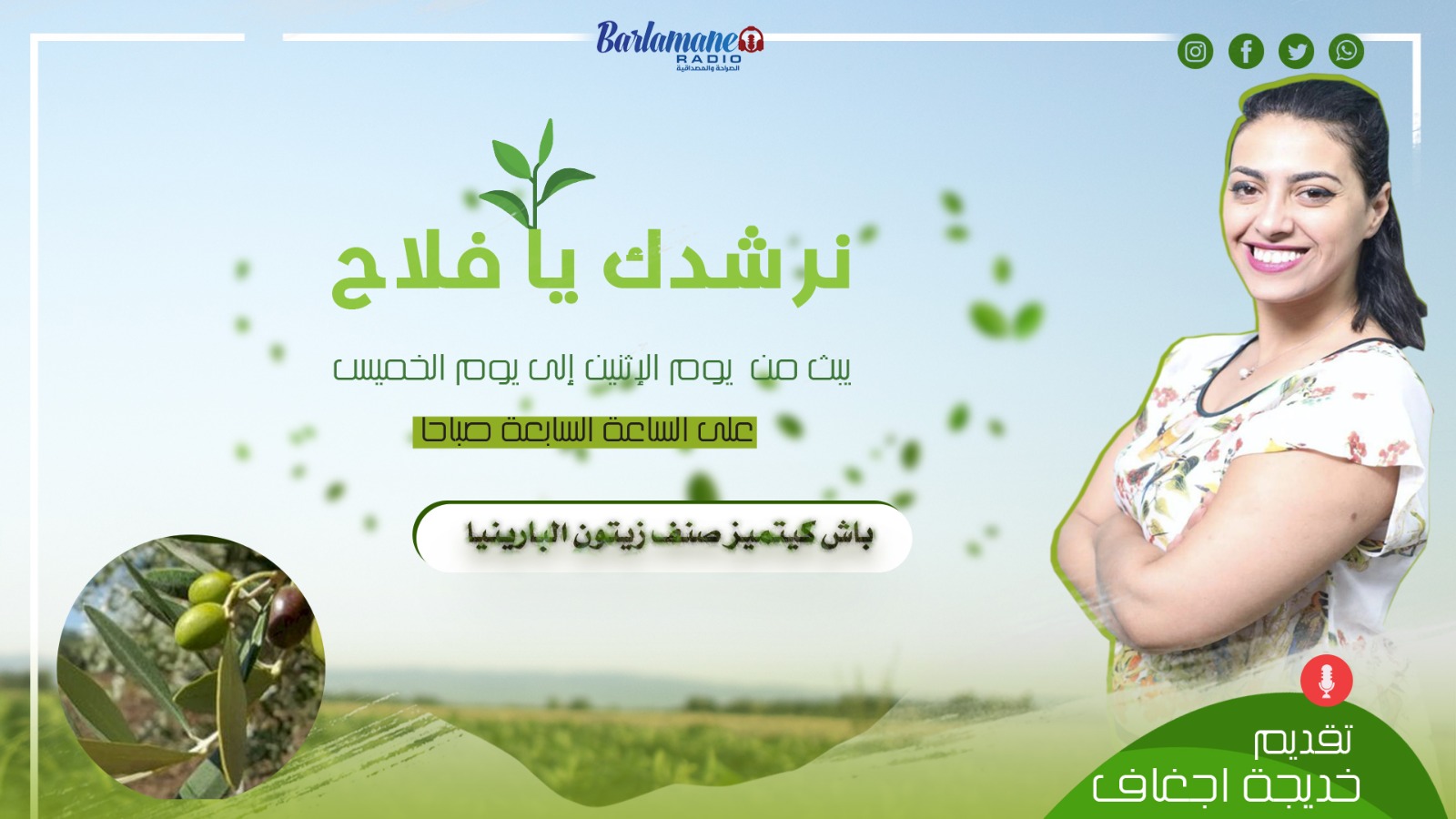 نرشدك يا فلاح .. باش كيتميز صنف زيتون البارينيا