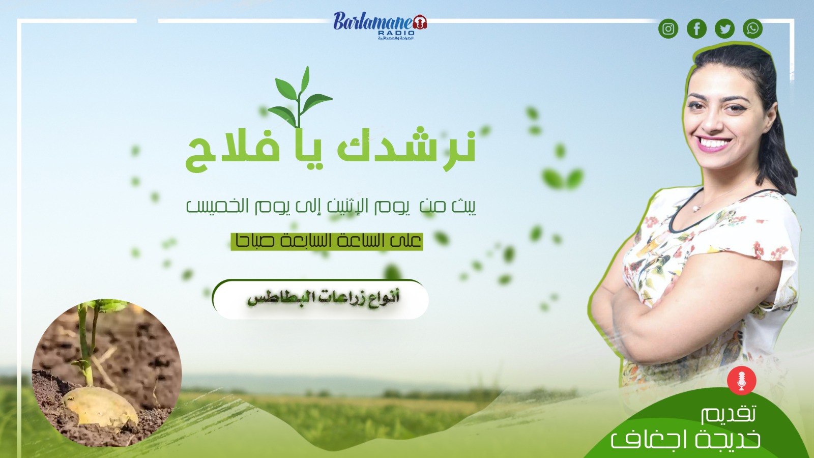نرشدك يا فلاح.. أنواع زراعات البطاطس