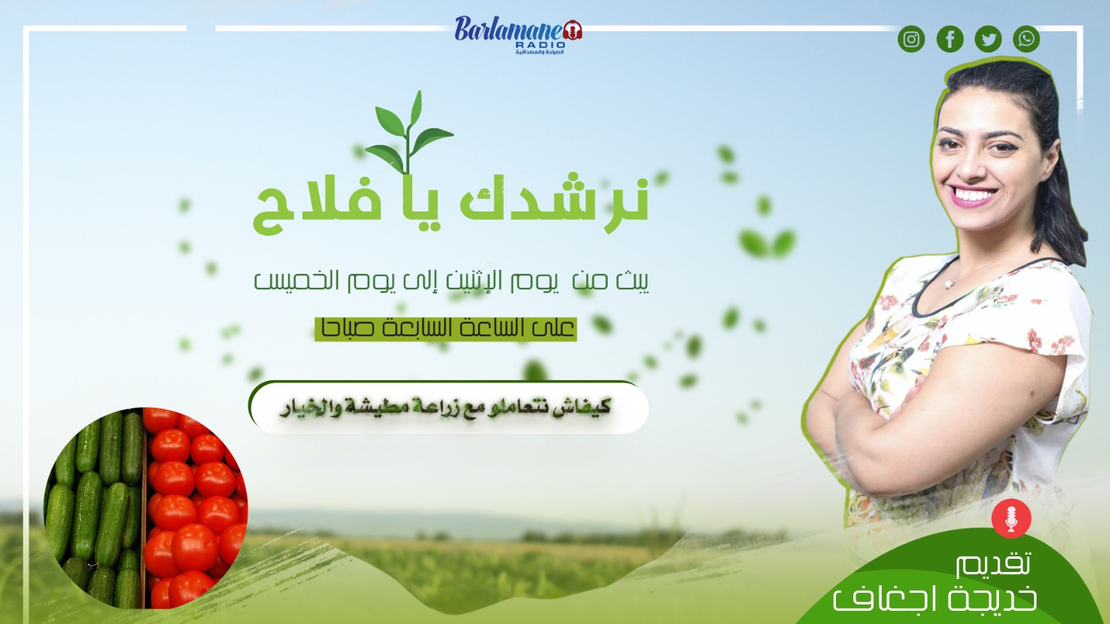 نرشدك يا فلاح.. كيفاش نتعاملو مع زراعة مطيشة والخيار