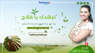 نرشدك يا فلاح.. مزايا نظام الزراعة المائية