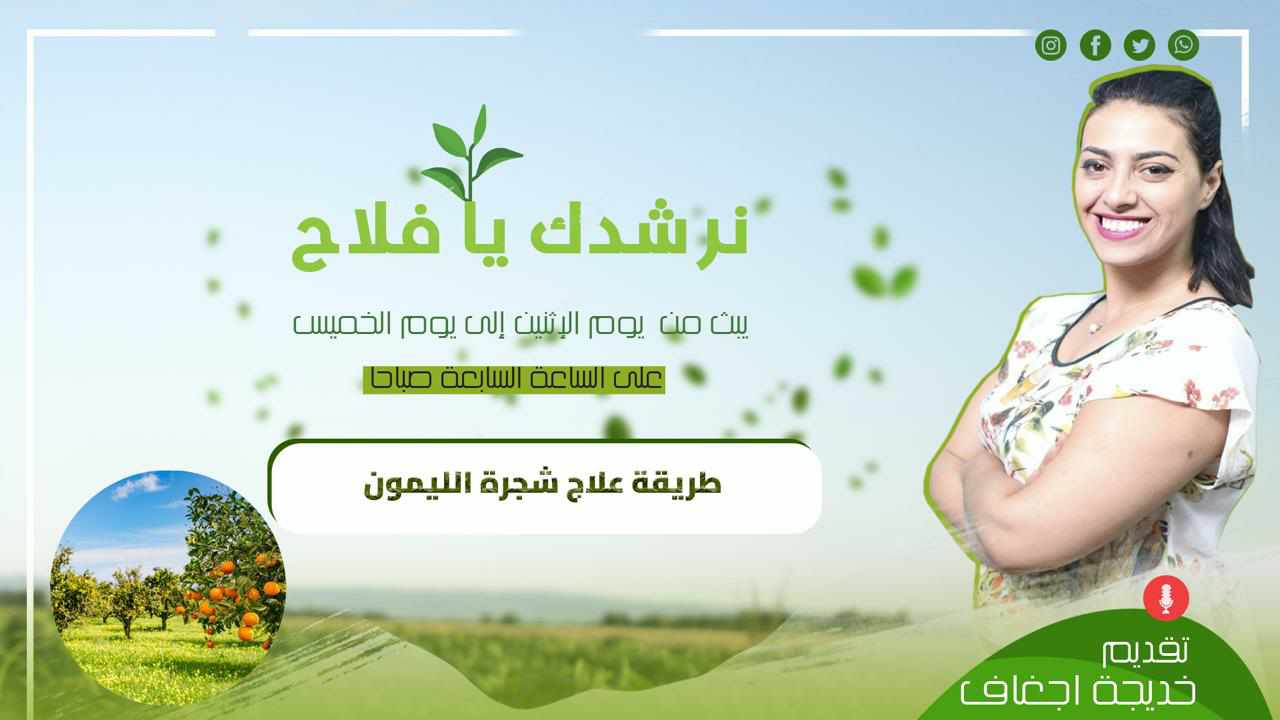 نرشدك يافلاح..طريقة علاج شجرة الليمون