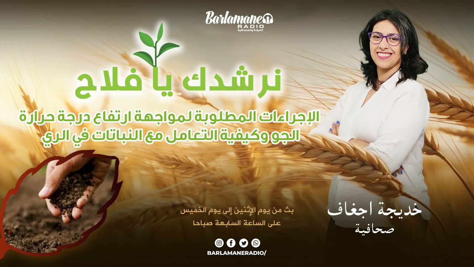 نرشدك يا فلاح ..الإجراءات المطلوبة لمواجهة ارتفاع درجة حرارة الجو وكيفية التعامل مع النباتات في الري