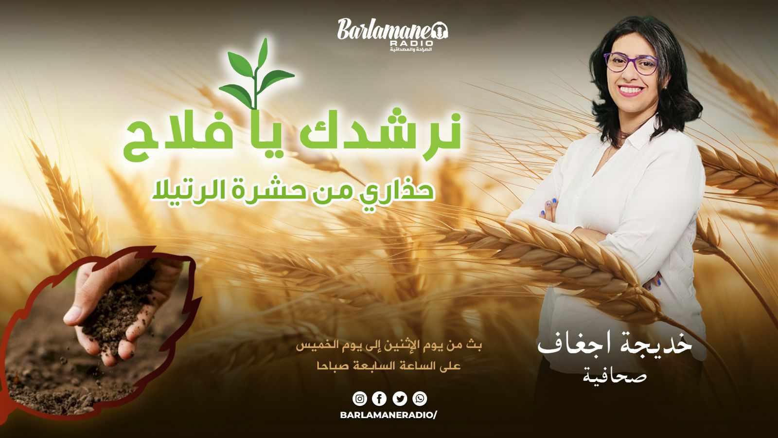 نرشدك يا فلاح.. حذاري من حشرة الرتيلا