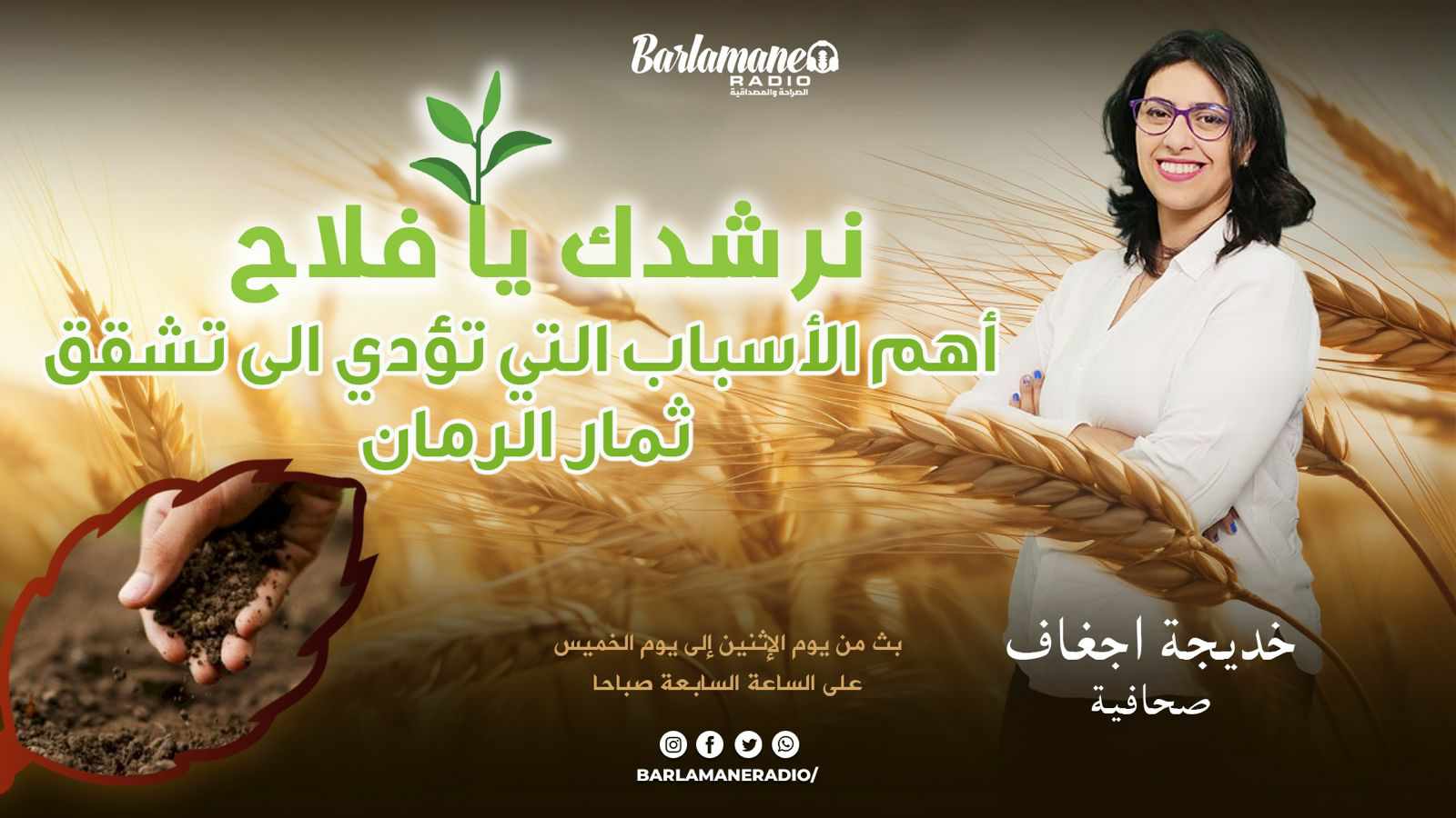 نرشدك يا فلاح..أهم الأسباب التي تؤدي الى تشقق ثمار الرمان