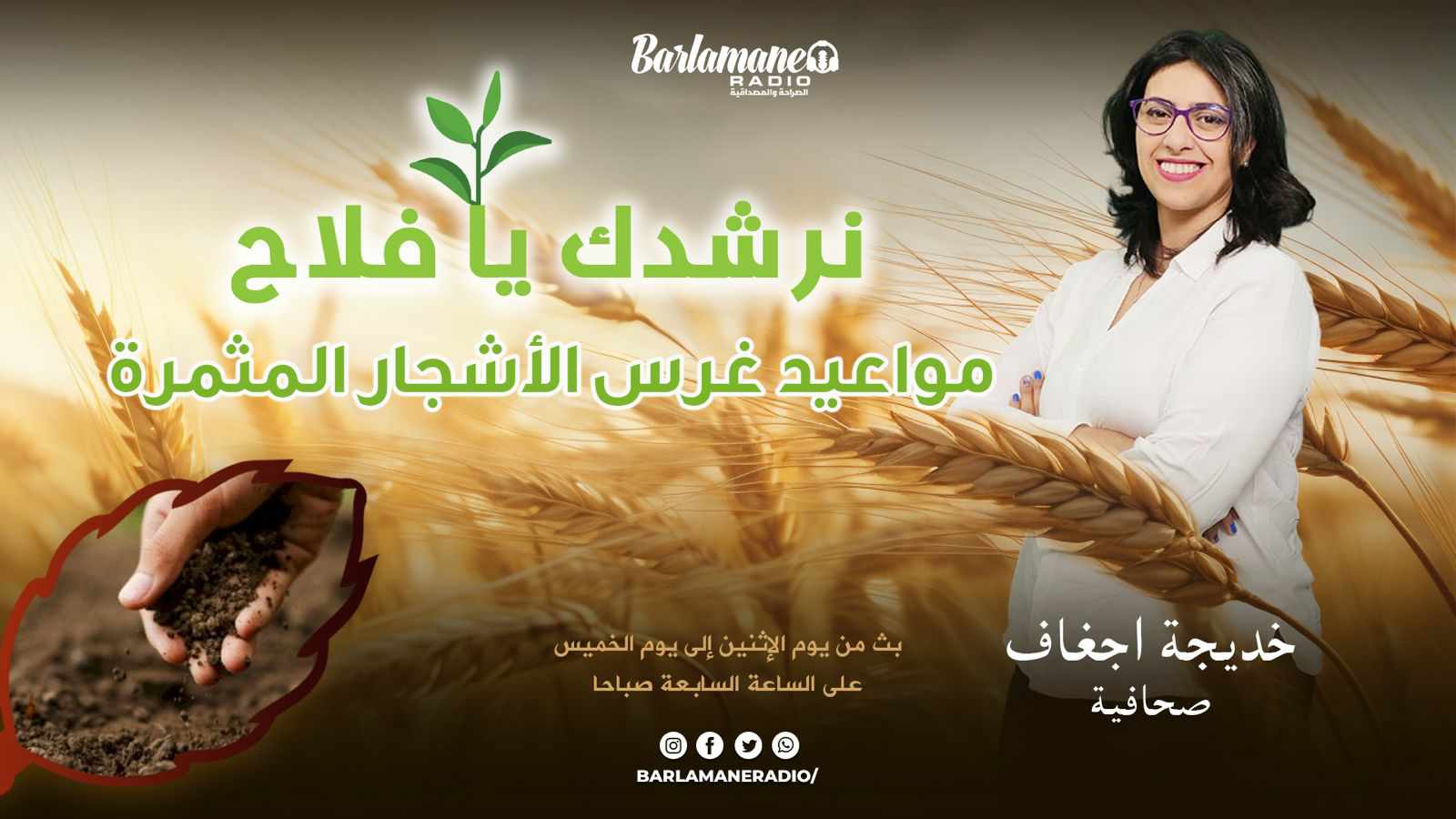 نرشدك يا فلاح ..مواعيد غرس الأشجار المثمرة