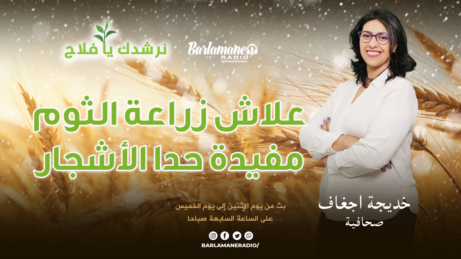 نرشدك يا فلاح.. علاش زراعة الثوم مفيدة حدا الأشجار