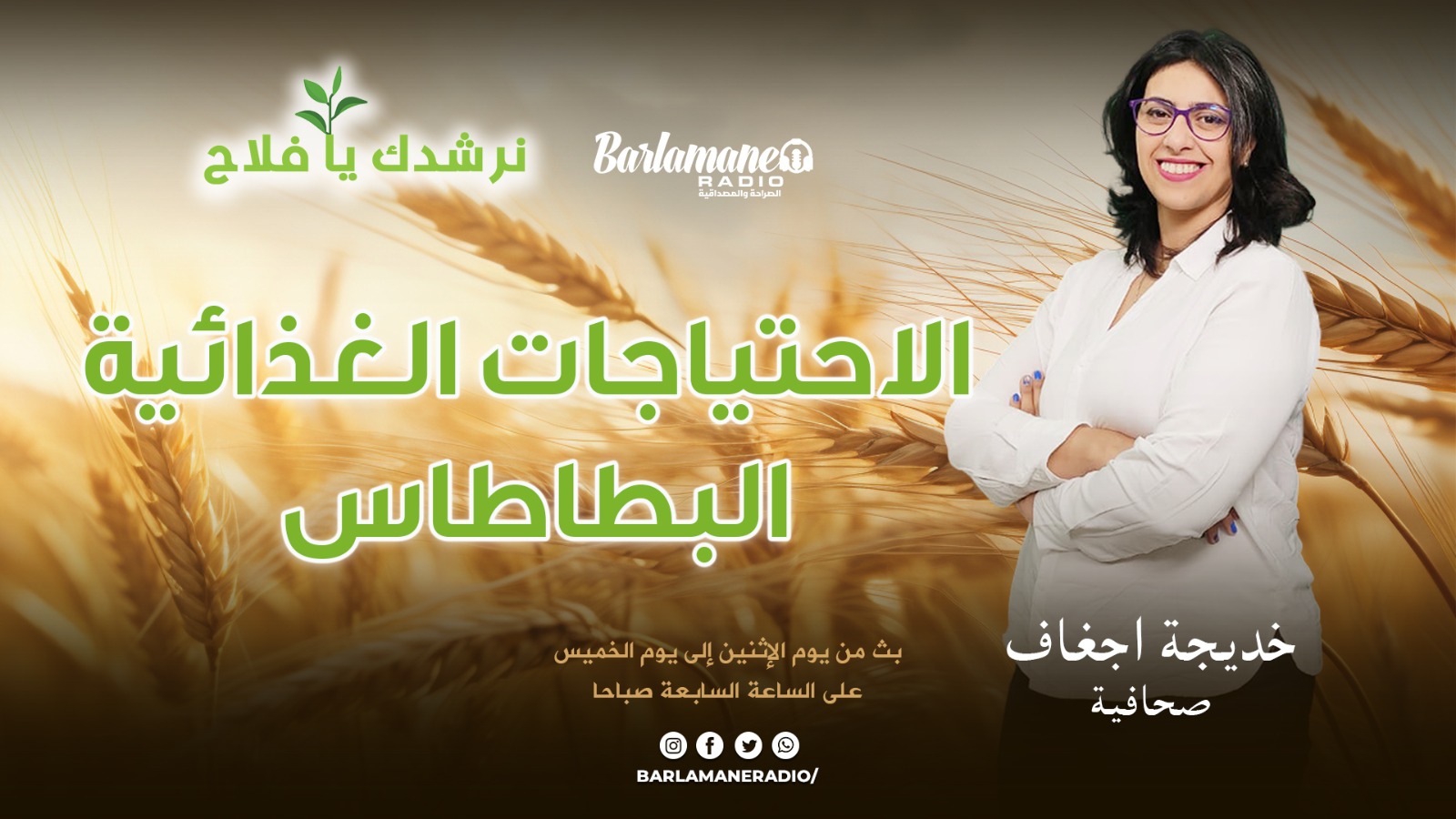 نرشدك يا فلاح.. الاحتياجات الغذائية المهمة لزراعة البطاطاس