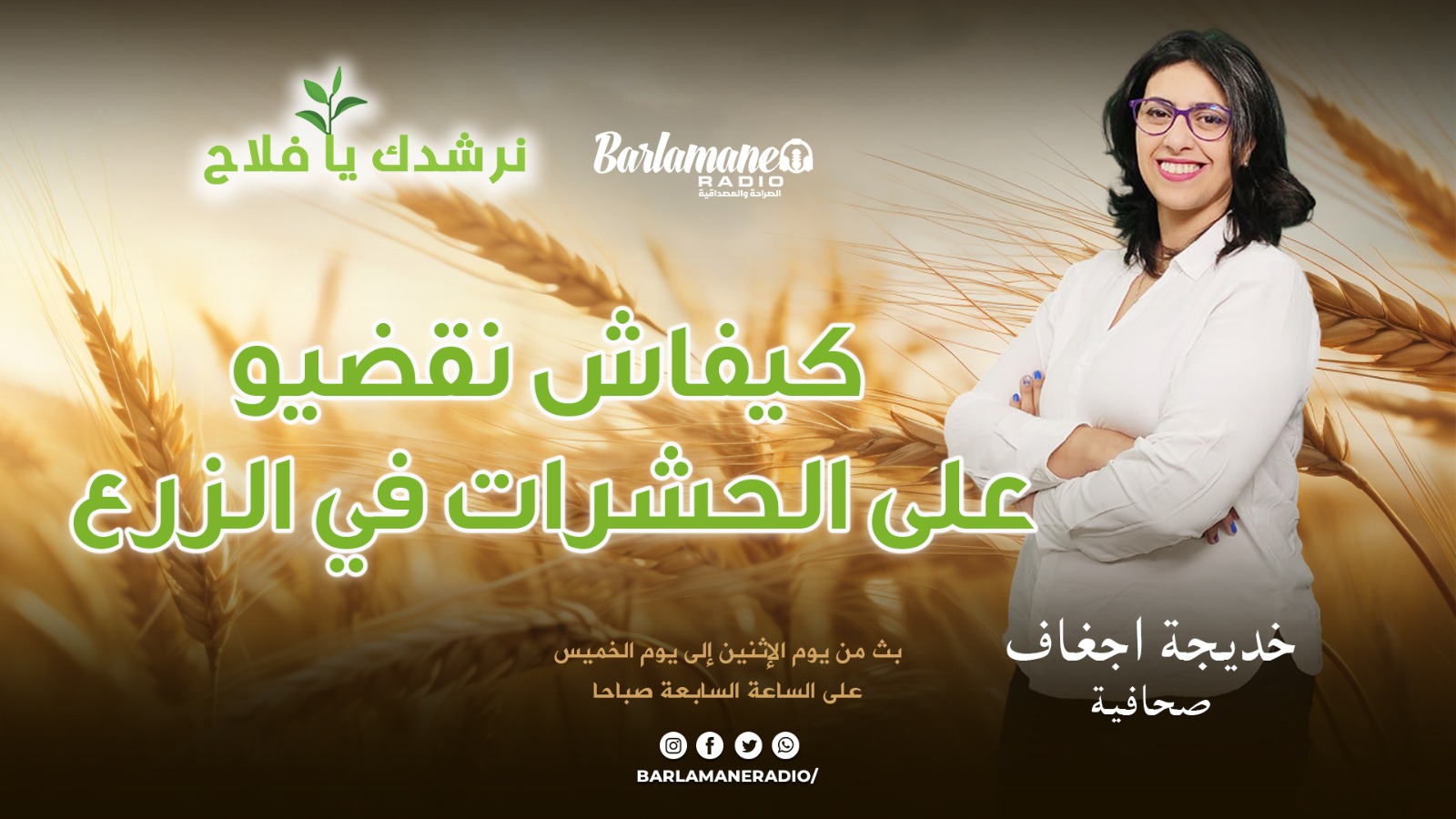 نرشدك يا فلاح.. كيفاش نقضيو على الحشرات في الزرع