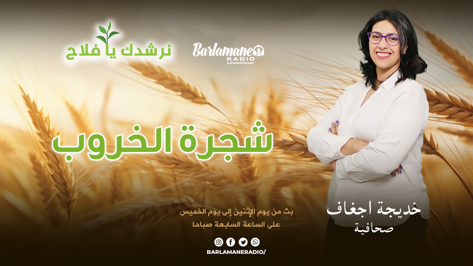 نرشدك يا فلاح.. شجرة الخروب