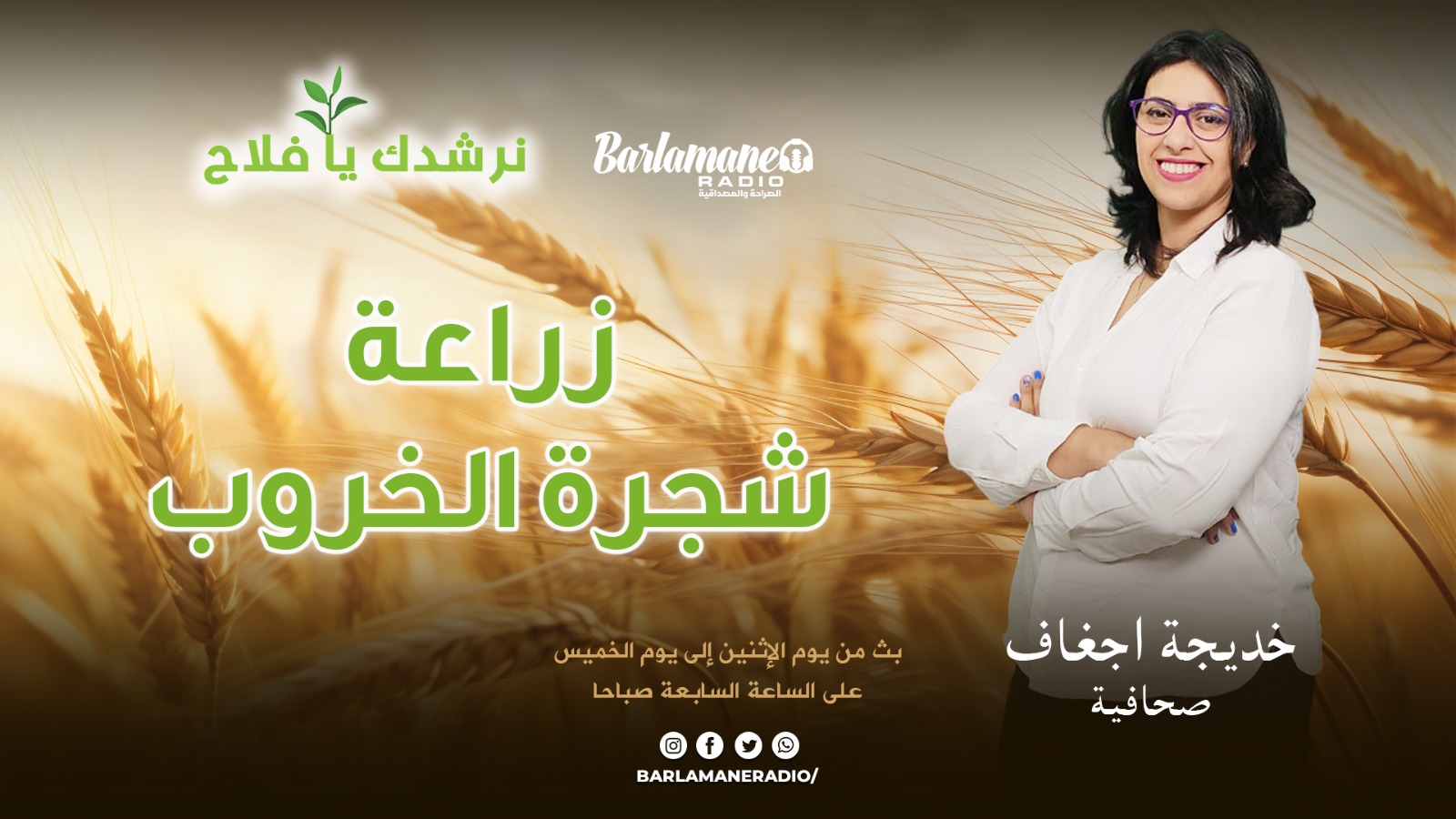 نرشدك يا فلاح.. زراعة شجرة الخروب