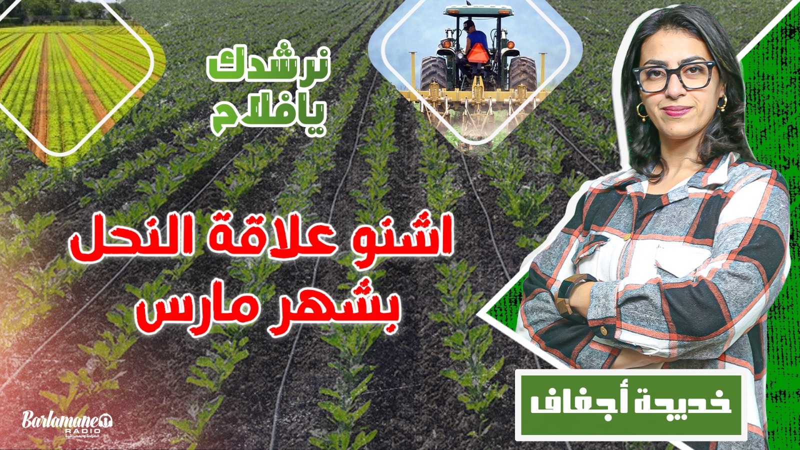 نرشدك يا فلاح.. اشنو علاقة النحل بشهر مارس