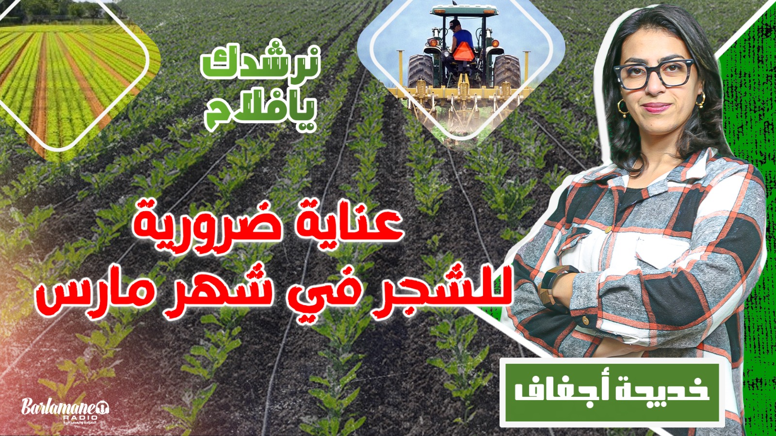 نرشدك يا فلاح..عناية ضرورية للشجر في شهر مارس