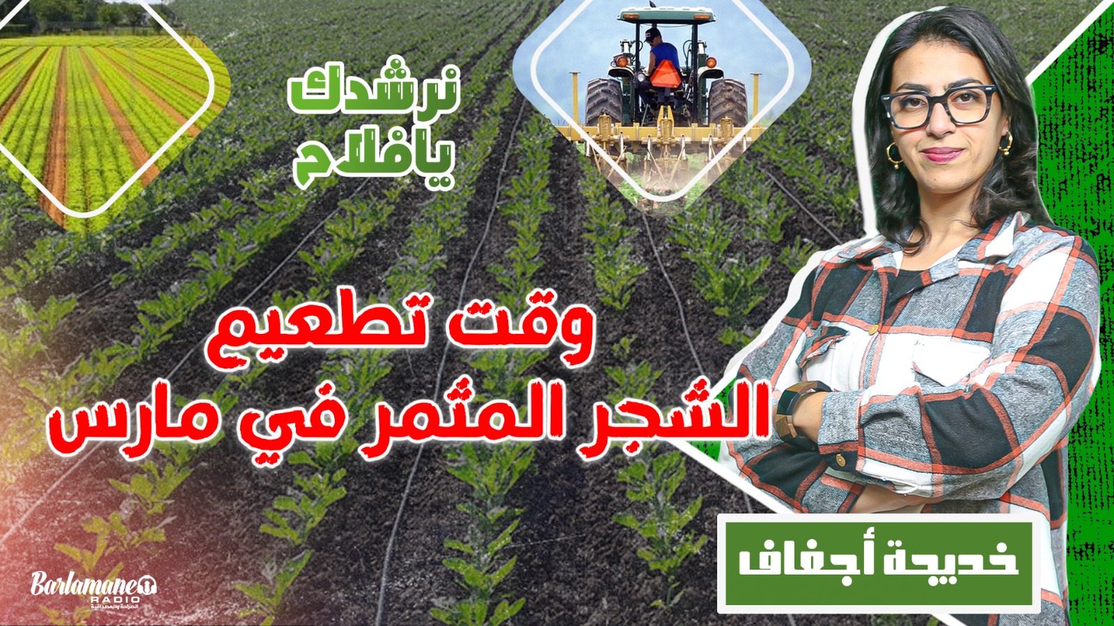 نرشدك يا فلاح.. وقت تطعيم الشجر المثمر في مارس