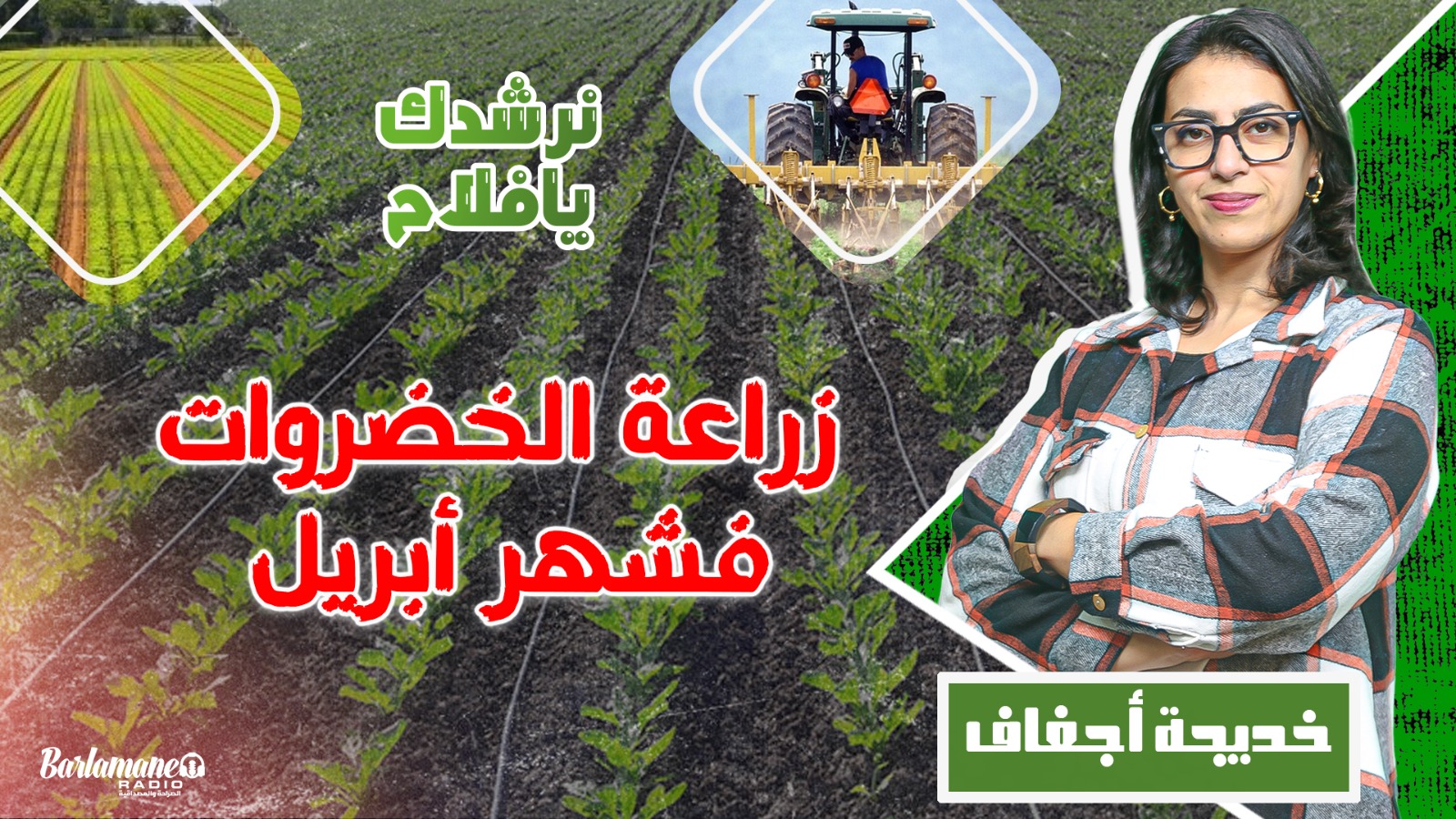 نرشدك يا فلاح.. زراعة الخضروات فشهر أبريل