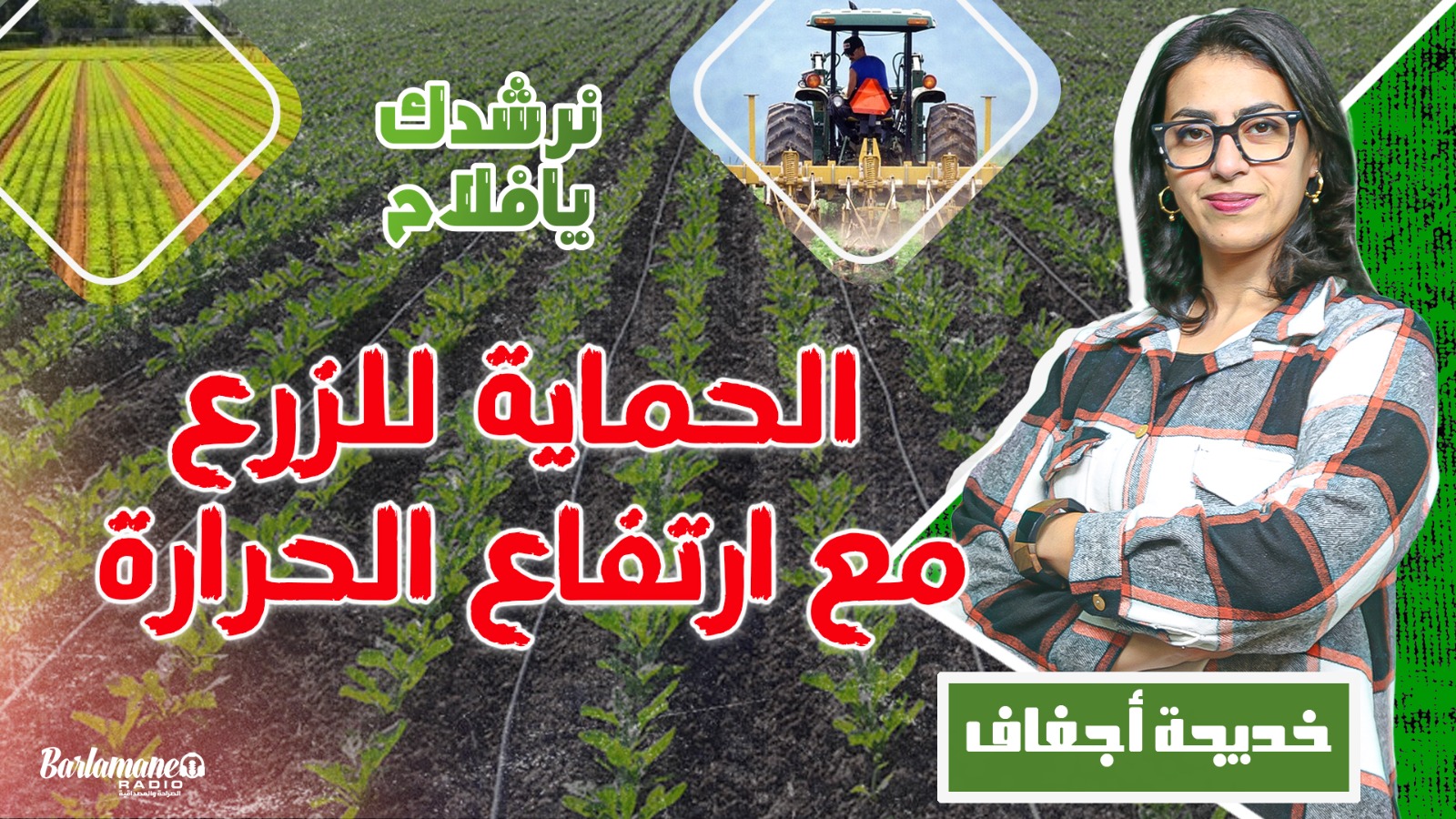 نرشدك يا فلاح..الحماية للزرع مع ارتفاع الحرارة