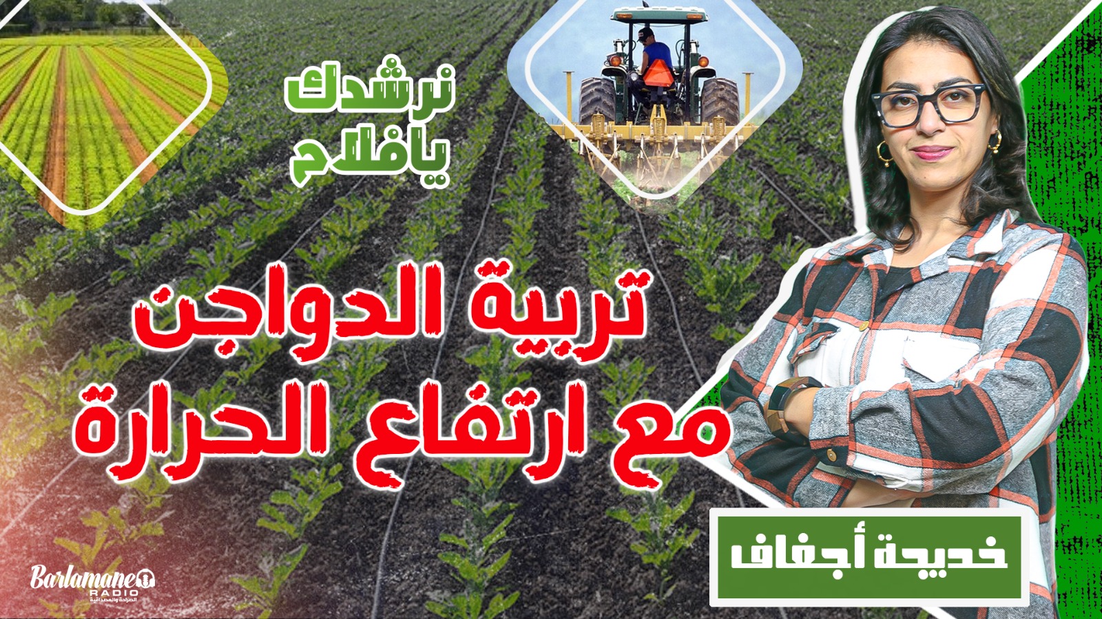 نرشدك يا فلاح..تربية الدواجن مع ارتفاع الحرارة